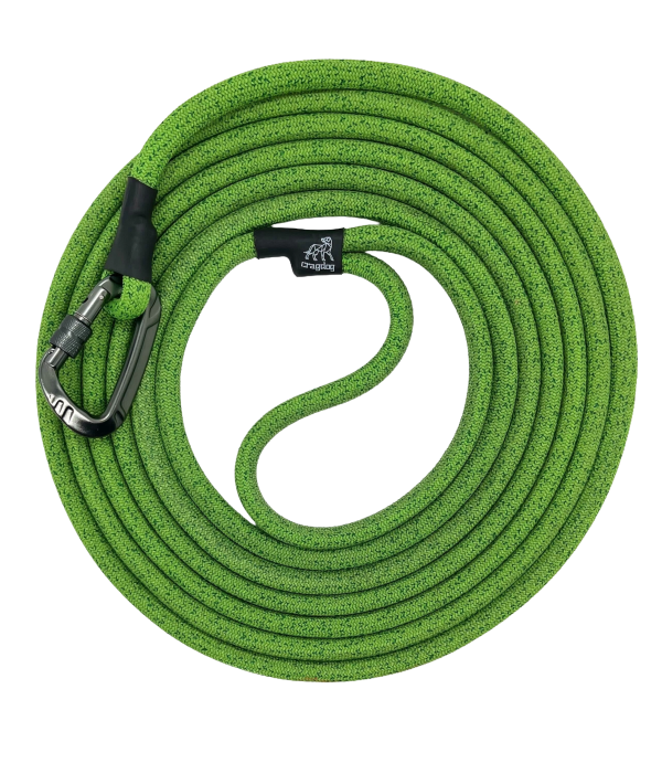 15' Classic Clip Training Leash